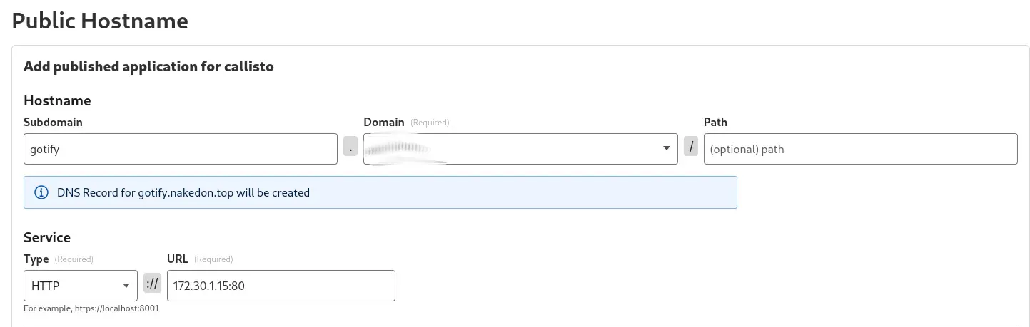 Create a new public hostname with proper redirect to our gotify container
