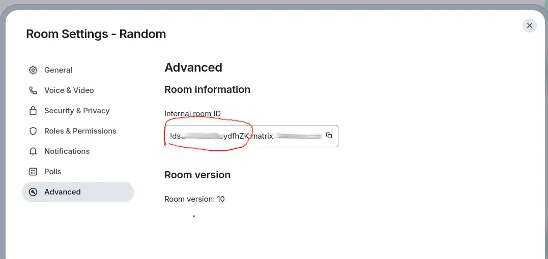 The room ID has a random-looking string followed by :YOUR.MATRIX.DOMAIN