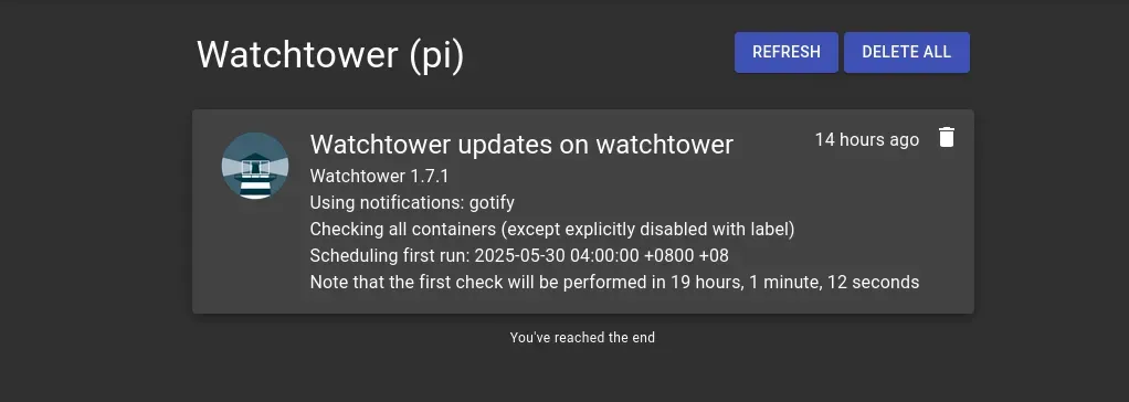Real-time watchtower notifications on our Gotify server