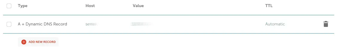 Create a Dynamic DNS record for a chosen subdomain