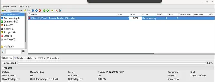 Our VPN works properly as shown in the Tracker field