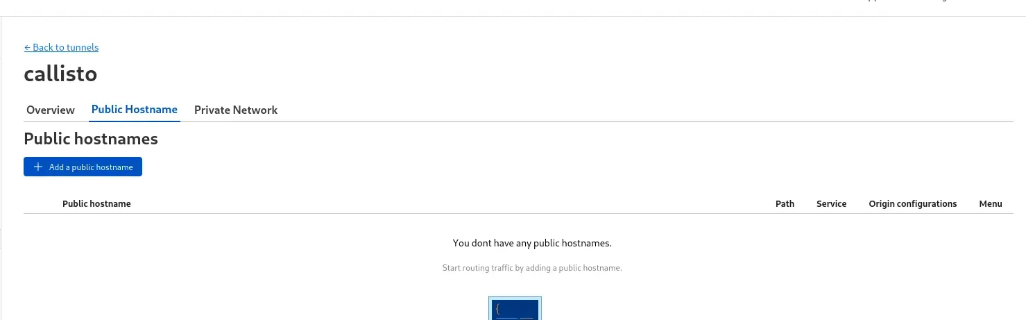 no public hostnames have been added yet