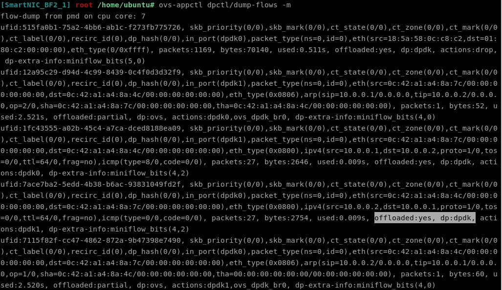 The relevant part of the flow cache corresponding to the flow rules and ping communication.