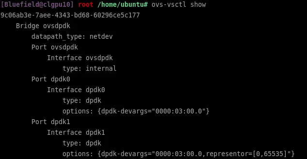 OvS-DPDK with bridge ovsdpd is successfully configured